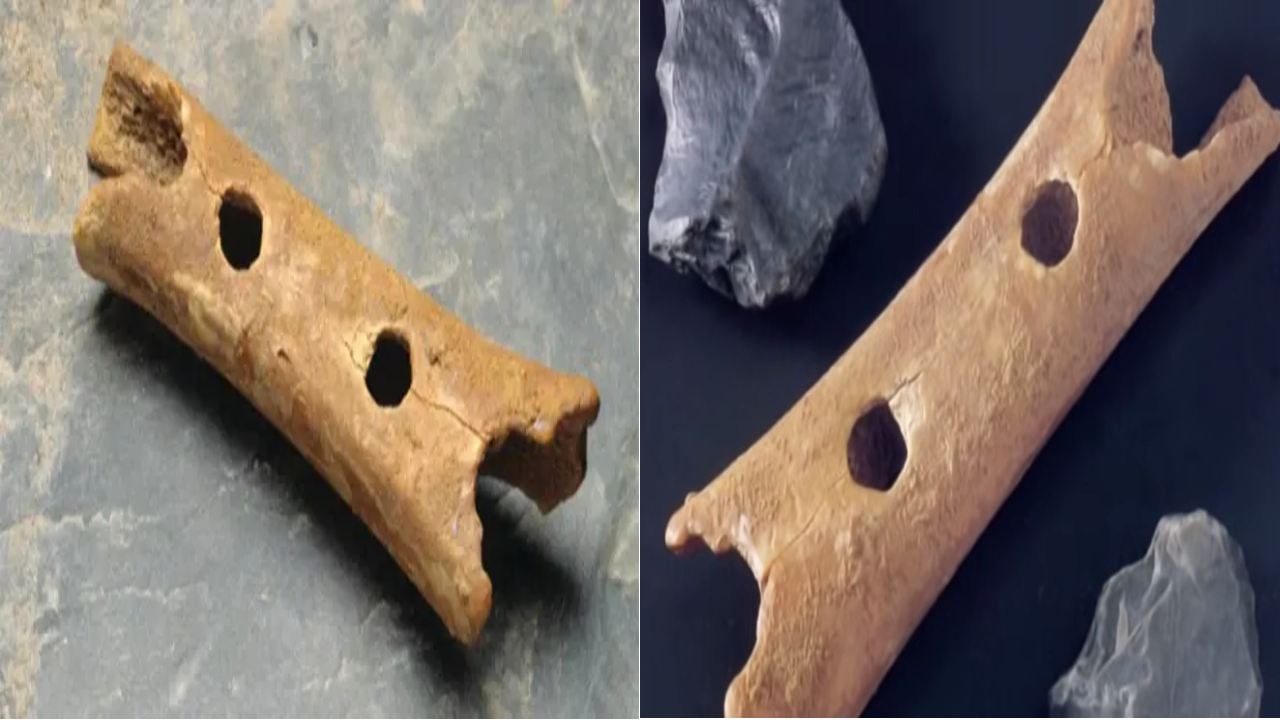 50,000 year old flute : 50 వేల సంవత్సరాల నాటి ఫ్లూట్‌ను కనుగొన్న శాస్త్రవేత్తలు