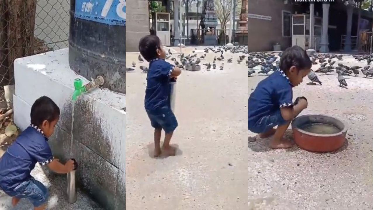 Small Boy Video Viral : పక్షులకు నీరు అందిస్తూ నెటిజన్ల మనసు దోచుకున్న చిన్నారి