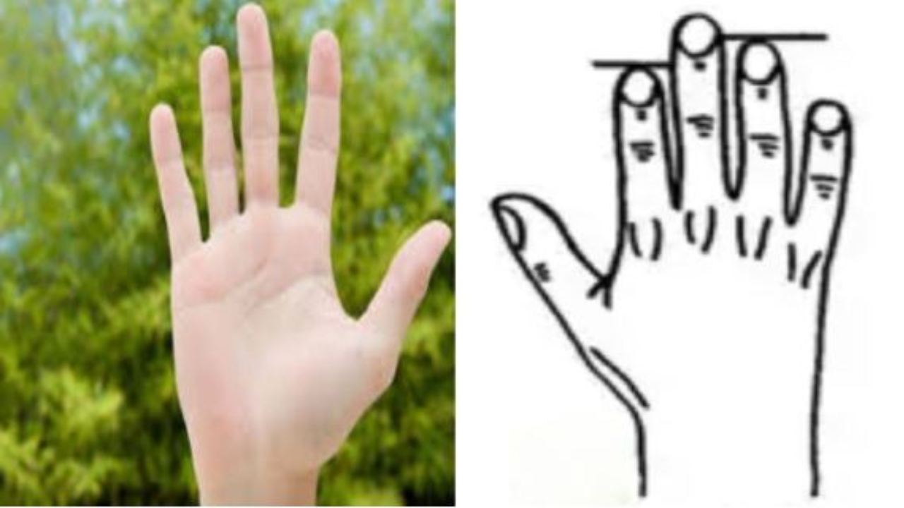 Finger length tells the personality : ఉంగరం వేలు కంటే చూపుడు వేలు పొడవుగా ఉందా? అయితే మీరు దమ్మున్న లీడర్ అన్నమాట