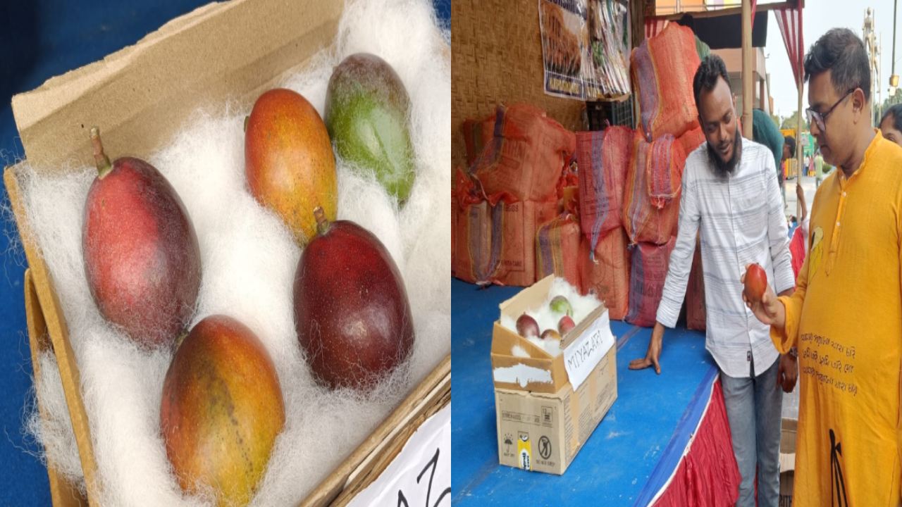 Expensive Mango : ఆ మామిడి పండ్ల ధర కిలో రూ.2.75 లక్షలు మాత్రమే.. ధైర్యం చేసి కొనాలంటే ధనవంతులై ఉండాలి!