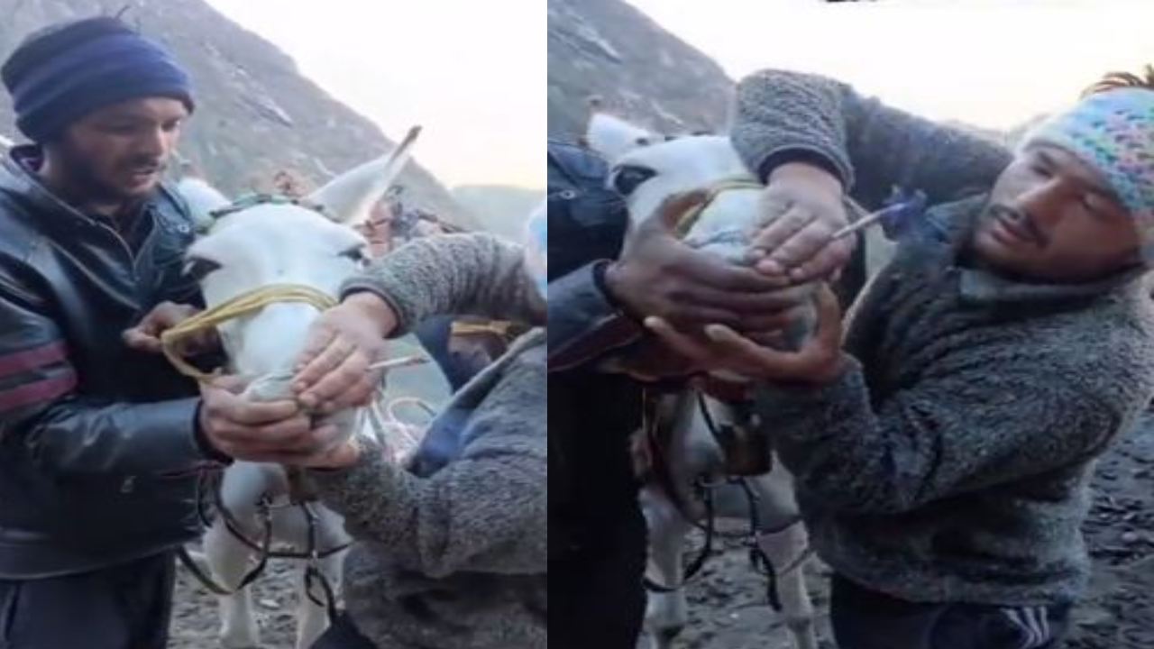 Uttarakhand :  చెడు అలవాటులతో చెడిపోవడమే కాకుండా.. మూగజీవిని బలవంతం చేసి ఏమి చేశారో చూడండి