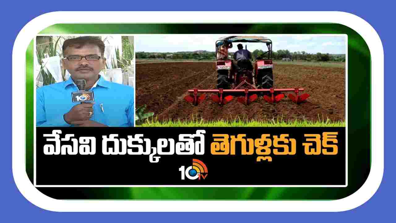 Summer Ploughing : వేసవి దుక్కులతో తెగుళ్లకు చెక్