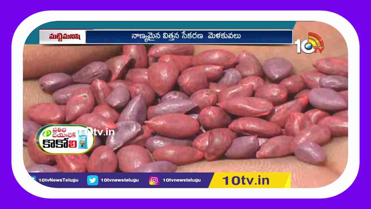 kharif Cultivation : ఖరీఫ్ సాగుకు సన్నద్ధమవుతున్న రైతులు.. విత్తన సేకరణలో పాటించాల్సిన మెళకువలు