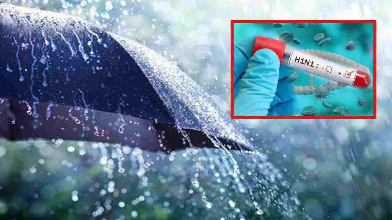 Swine Flu During Rainy Season : వర్షకాలంలో స్వైన్ ఫ్లూ బారిన పడకుండా ఉండేందుకు తీసుకోవాల్సిన జాగ్రత్తలు !