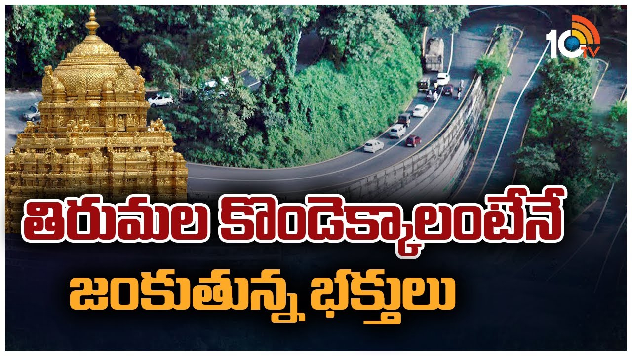 Tirumala Ghat Road : తిరుమల ఘాట్ రోడ్ లో వరుస ప్రమాదాలు.. ఘాట్ రోడ్ల విషయంలో టీటీడీ ఏం చేయాల్సి ఉంది!