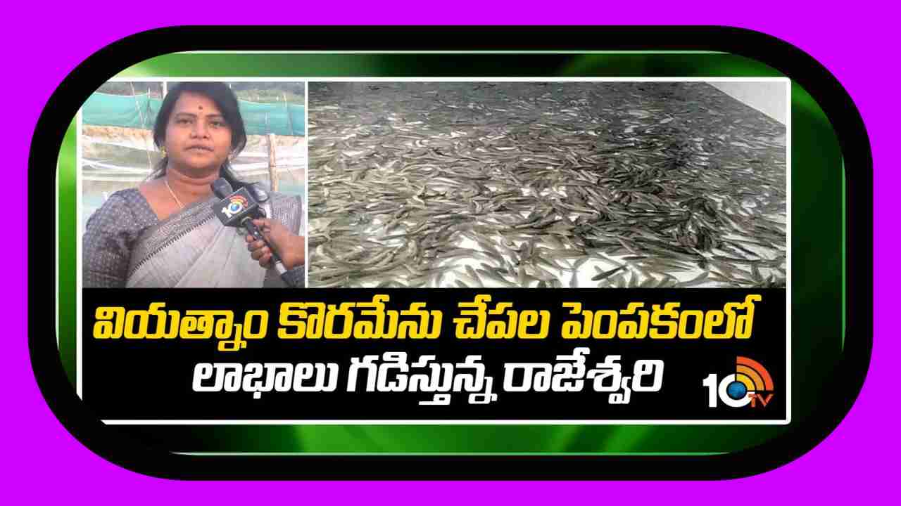 Vietnam Murrel Fish Farming : వియత్నం కొరమేను పెంపకంలో..  లాభాలు గడిస్తున్న రాజేశ్వరి