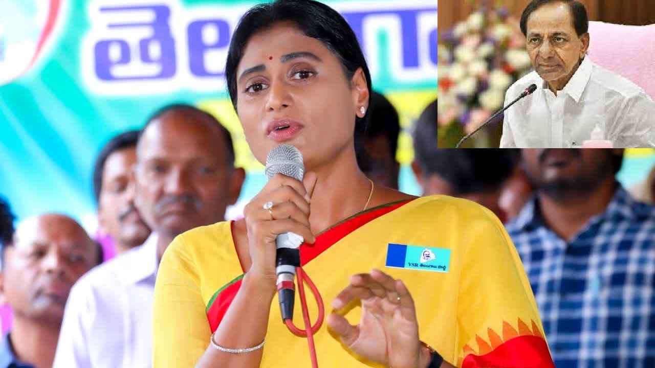 YS Sharmila : తొమ్మిదేళ్లలో భర్తీ చేసింది ముష్టి 65వేల ఉద్యోగాలు.. ఇందుకేనా తెలంగాణ తెచ్చుకున్నది?- వైఎస్ షర్మిల