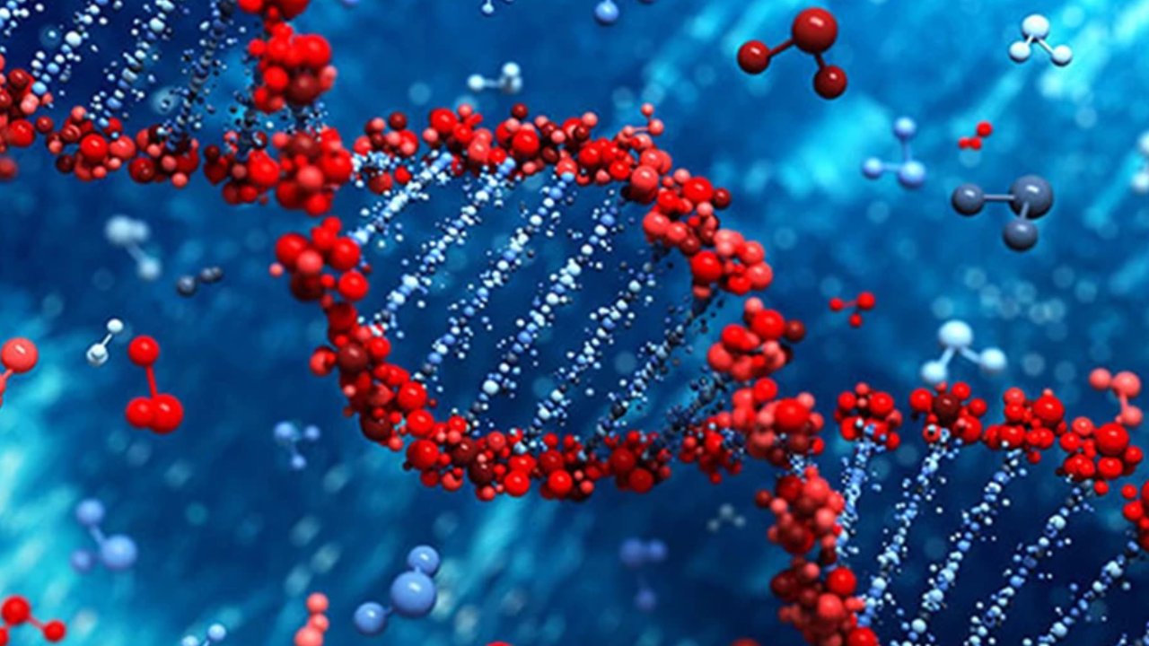 DNA Test: డీఎన్ఏ పరీక్షల ఆధారంగా చిన్నారుల కెరీర్ ప్రణాళిక చేసుకోవచ్చా? ఇందుకోసం సాప్ట్‌వేర్ సిద్ధమైందట!