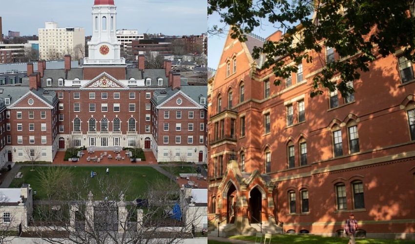 Human Organs Sell : మృతదేహాలను ముక్కలు చేసి, ఆన్‌లైన్‌లో అవయవాలు అమ్మకం ..