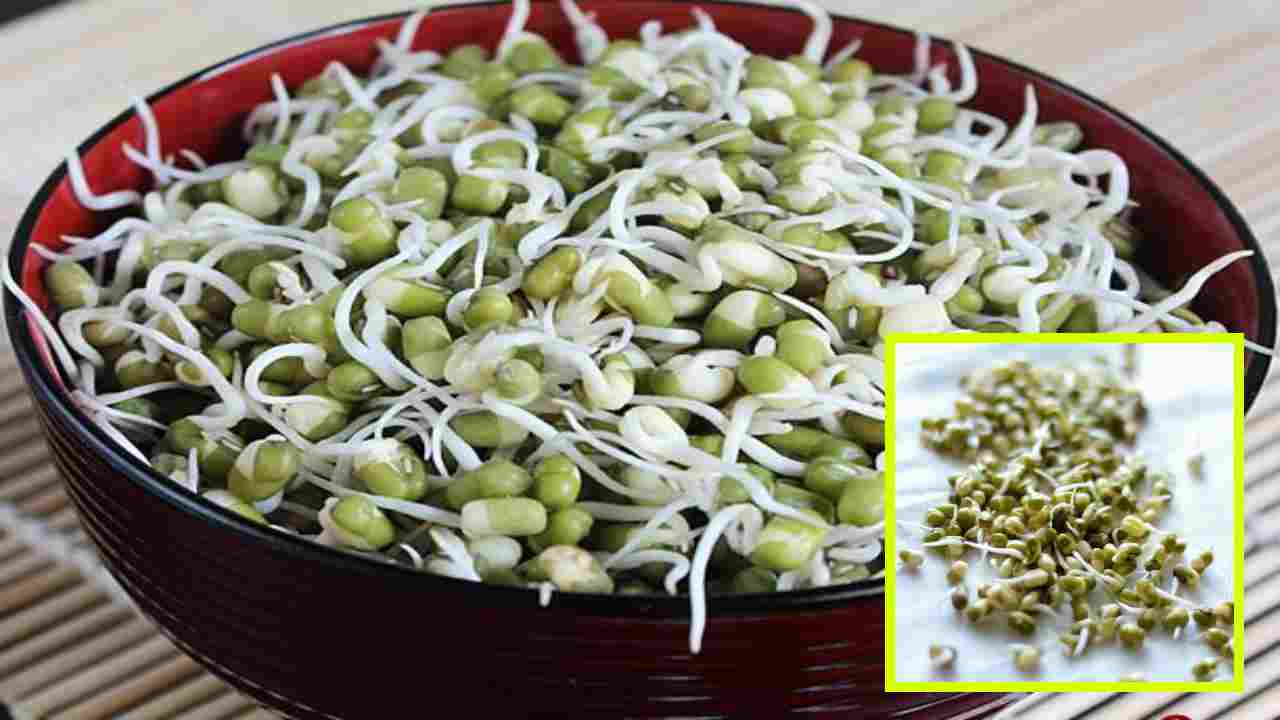 Moong Dal Sprouts :పెసర మొలకలు తినటం వల్ల కలిగే ఆరోగ్య ప్రయోజనాలు తెలుసా ?