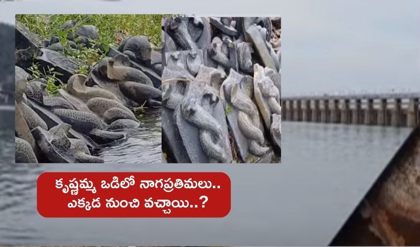 Naga Statues : కృష్ణానదిలో భారీ సంఖ్యలో నాగదేవత విగ్రహాల మిస్టరీ