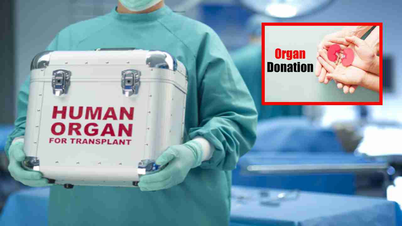 Organ Donation : భారతదేశం అవయవ దానం విషయంలో ఎందుకు వెనుకబడి ఉందంటే ?
