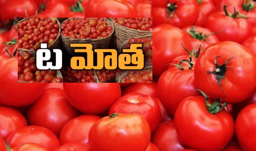 Tomato Price : మండిపోతున్న టమోటా ధర .. కిలో రూ.100