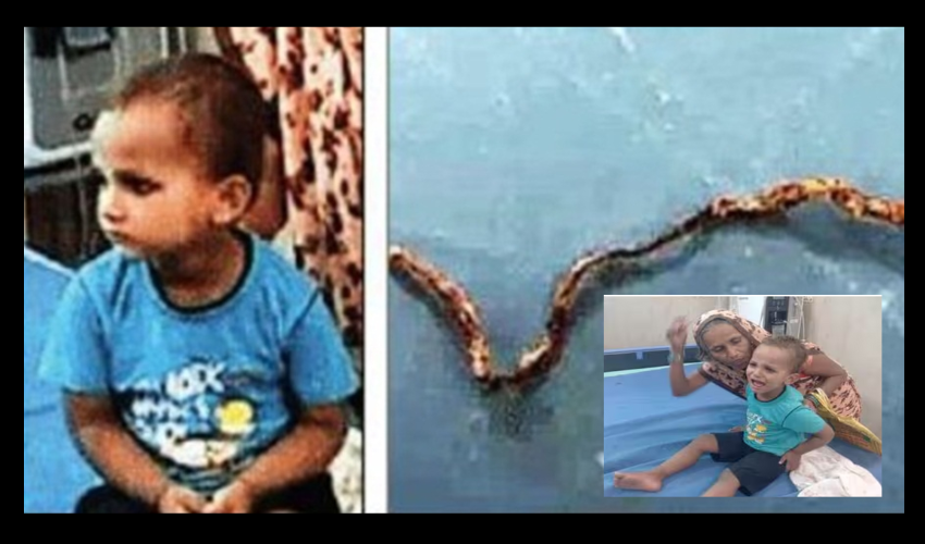 Uttar Pradesh : పామును కొరికి చంపేసిన మూడేళ్ల పిల్లాడు..