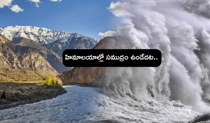 Sea found in Himalayas : హిమాలయాల్లో 60కోట్ల ఏళ్ల నాటి సముద్రాన్ని కనుగొన్న పరిశోధకులు .. వెలుగులోకొచ్చిన  ఎన్నో ఆసక్తికర విషయాలు