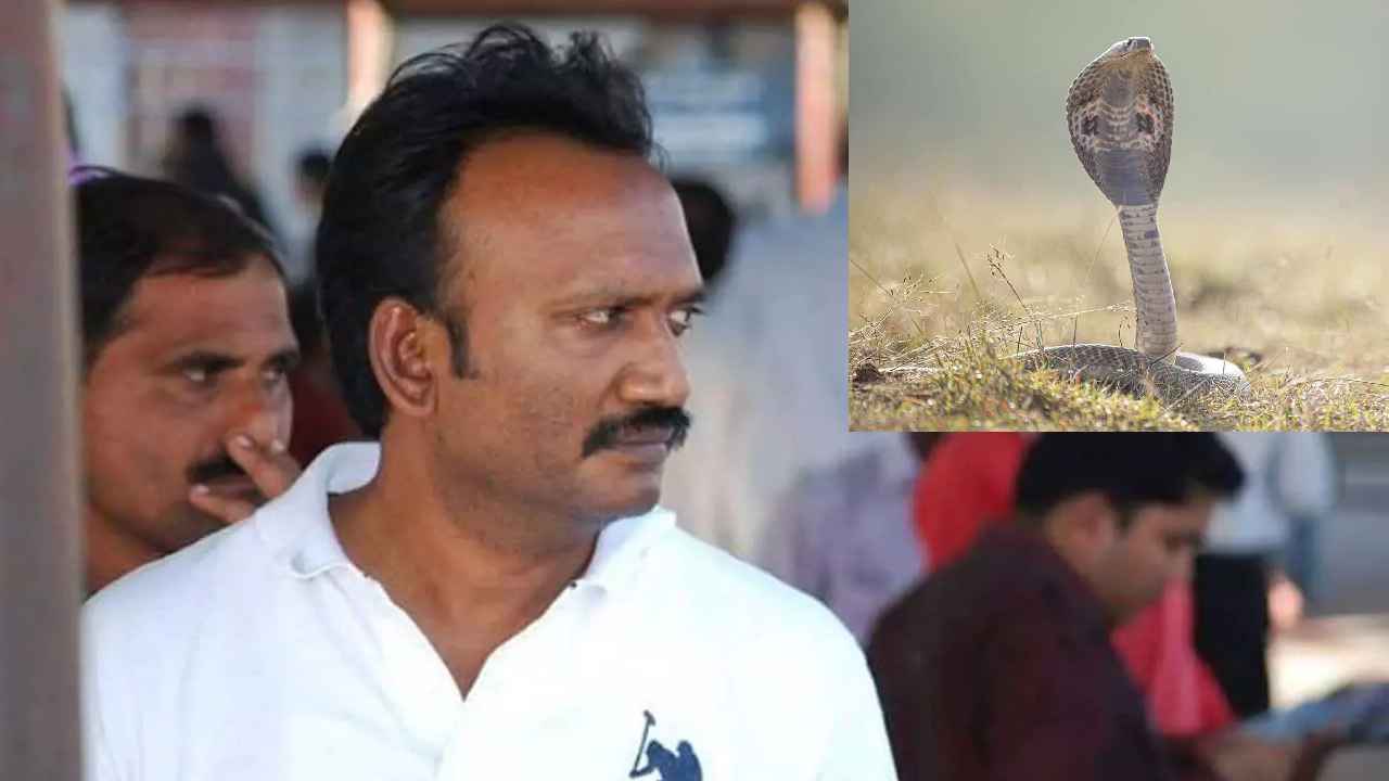 Amanchi Krishna Mohan : పాముకాటుకు గురైన వైసీపీ నేత, వెంటనే ఆసుపత్రికి తరలింపు, ఆందోళనలో కుటుంబసభ్యులు