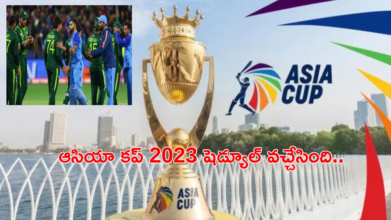 Asia Cup 2023 Schedule : ఆసియా క‌ప్ 2023 షెడ్యూల్ వ‌చ్చేసింది.. భార‌త్‌, పాకిస్తాన్ మ్యాచ్ ఎప్పుడంటే..?