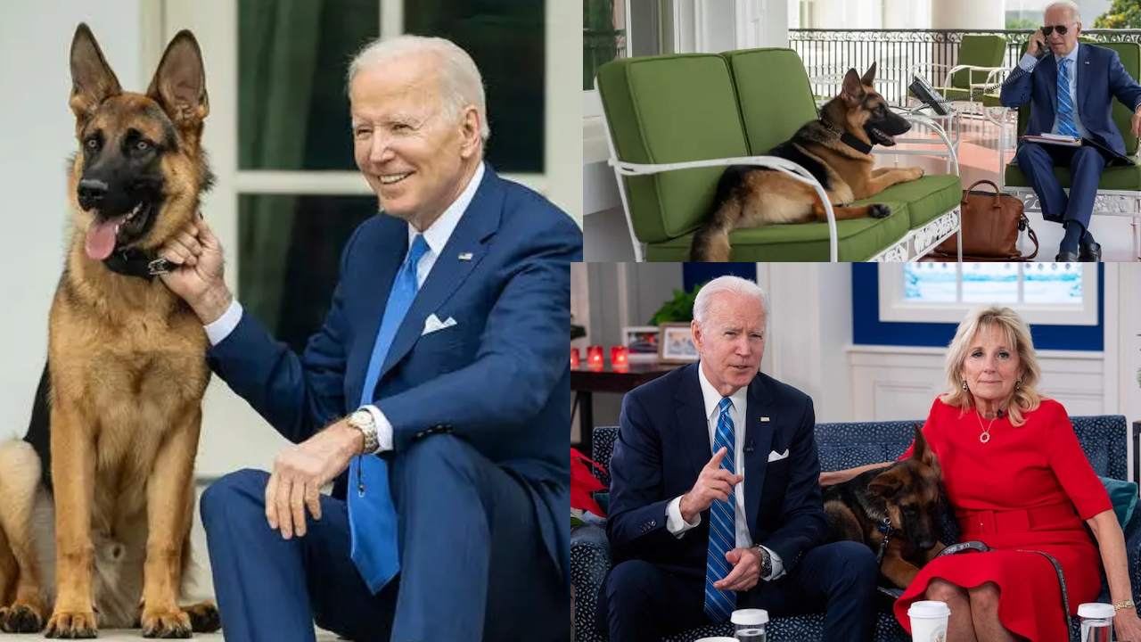 Biden Pet Dog Commander : జోబైడెన్ పెంపుడు కుక్కకు ఏమైంది..? సెక్యురిటీ సిబ్బందిని పదే పదే ఎందుకు కరుస్తోంది..?