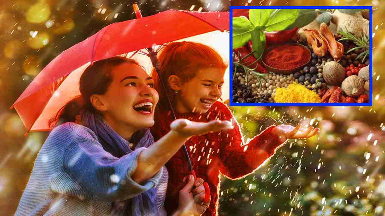 Boost Immunity During Monsoon : వర్షాకాలంలో రోగనిరోధక శక్తి పెంచుకోవటం కోసం మీ ఆహారంలో చేర్చుకోవలసిన 4 అద్భుతమైన సూపర్‌ఫుడ్‌లు !
