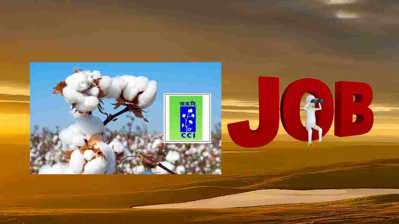 CCIL Recruitment : కాటన్‌ కార్పొరేషన్ ఆఫ్ ఇండియాలో ఖాళీల భర్తీ