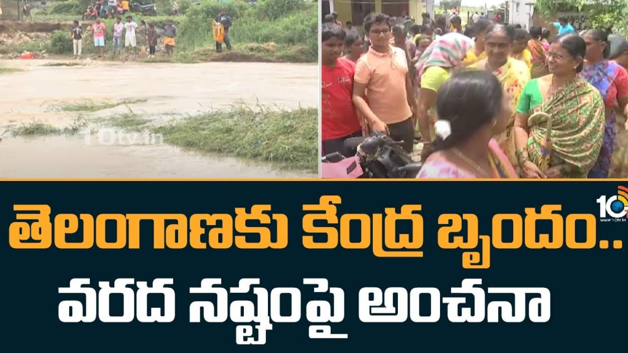 Central Govt Team : తెలంగాణకు కేంద్ర బృందం.. వరద ప్రభావిత ప్రాంతాల్లో పర్యటన