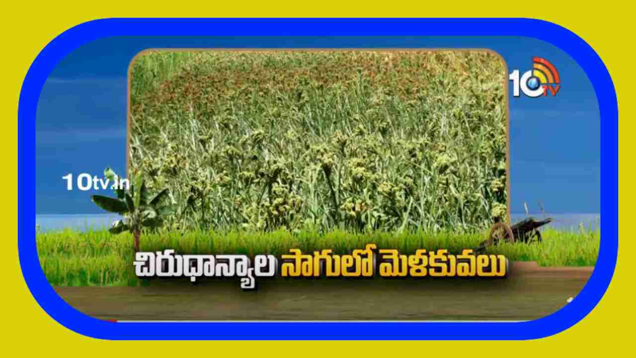Cultivation Of Crops : తక్కువ నీటితో ఎక్కువ విస్తీర్ణంలో పంటల సాగు.. వాణిజ్య పంటల స్థానంలో చిరుధాన్యాలే మేలు