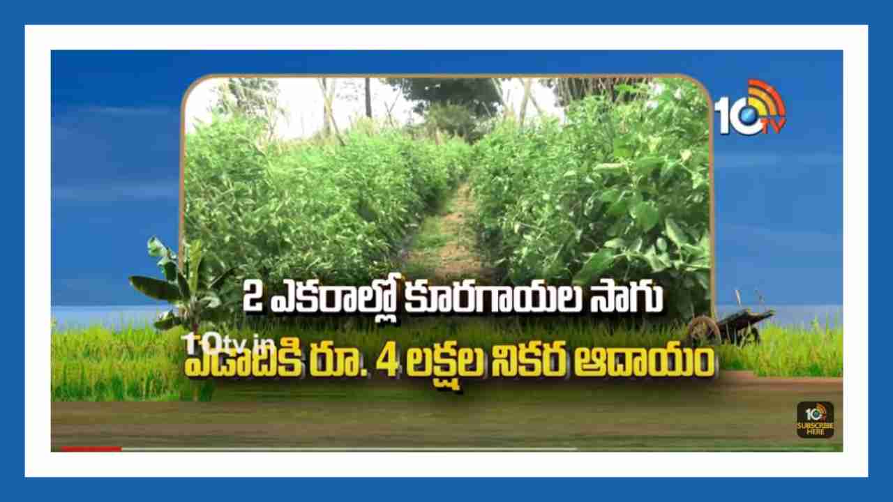 Vegetable Farming : రెండు ఎకరాల్లో కూరగాయలు సాగు.. ఏడాదికి రూ. 4 లక్షల నికర ఆదాయం పొందుతున్న నల్గొండ రైతు