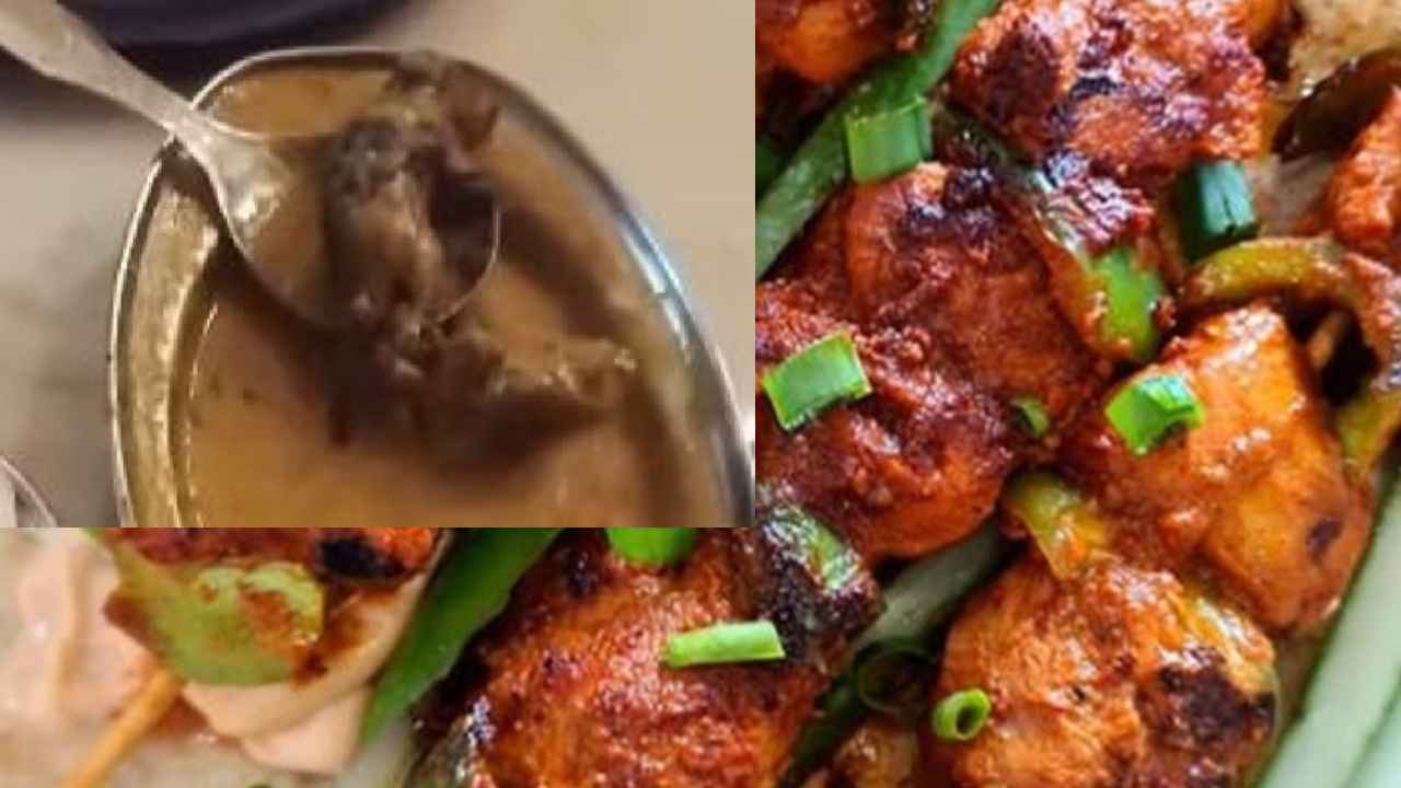 Dead Rat : బాబోయ్.. మటన్ కర్రీలో చచ్చిన ఎలుక..‍‍! ప్రముఖ రెస్టారెంట్‌లో కస్టమర్లకు ఊహించని షాక్