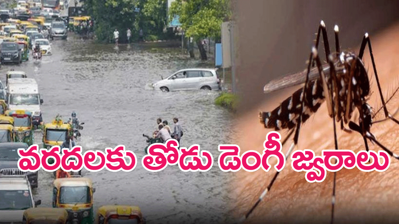 Dengue Cases : మళ్లీ ఢిల్లీని వణికిస్తున్న డెంగీ జ్వరాలు…163 కేసులు వెలుగు