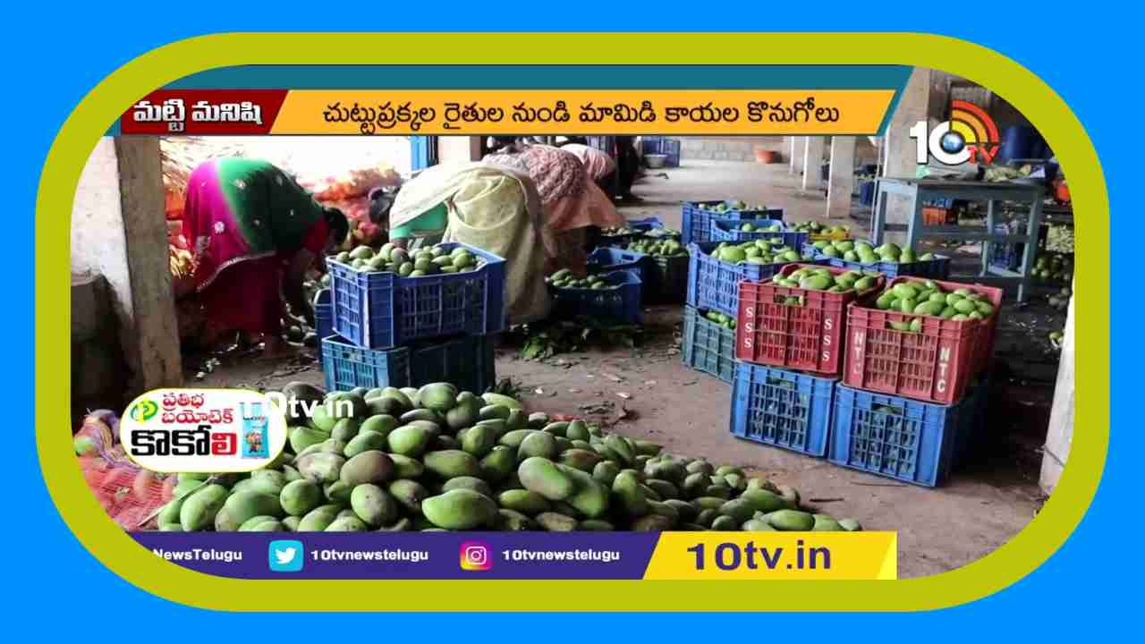 Export of Mango Slices : మామిడికాయ ముక్కల ఎగుమతితో అధిక లాభాలు ఆర్జిస్తున్న ఎన్టీఆర్ జిల్లా వాసి