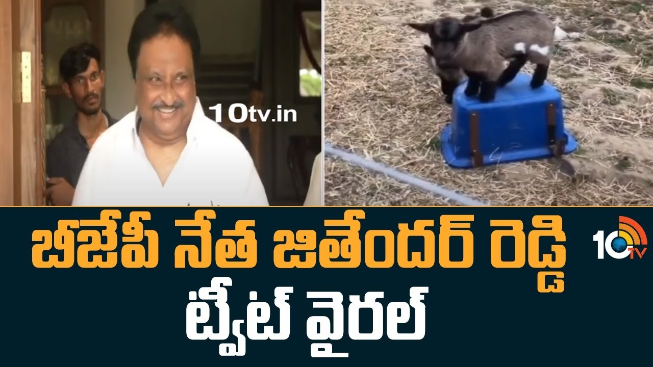 BJP Leader Jitender Reddy:  బీజేపీ నేత జితేందర్ రెడ్డి మరో ట్వీట్.. ఈసారి గొర్రెల వీడియో పోస్ట్