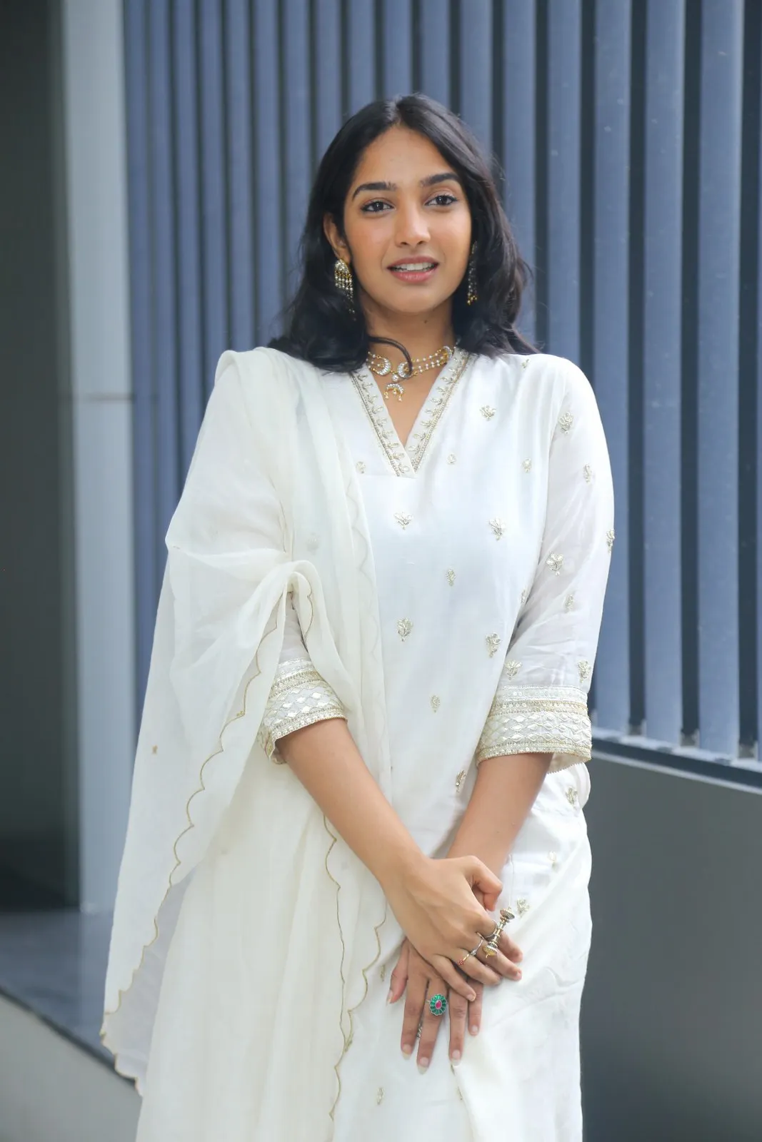 Karthika Muralidharan Photos at Aakasham Daati Vastava Movie Press Meet