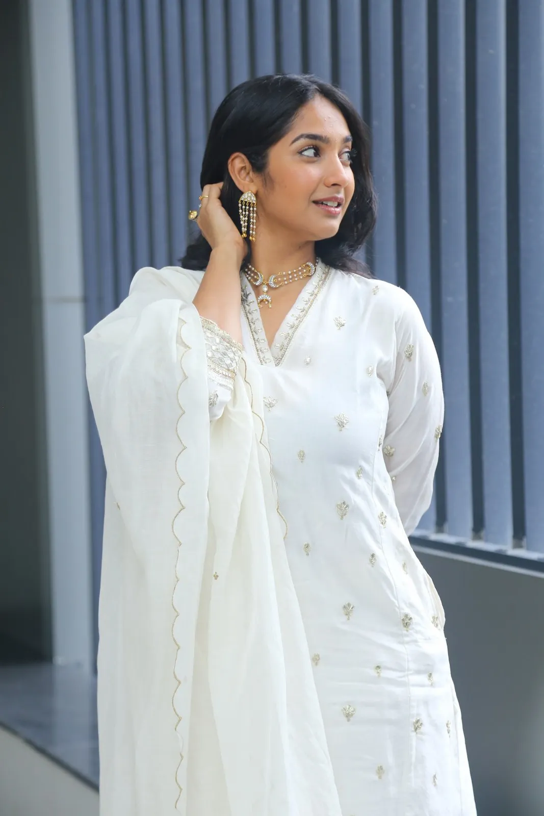 Karthika Muralidharan Photos at Aakasham Daati Vastava Movie Press Meet