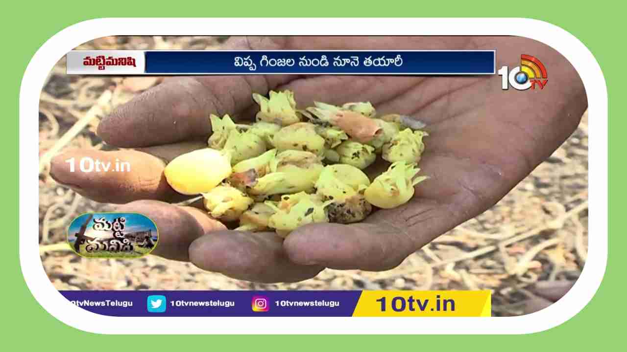 Mahua Flower : గిరిజనులకు కల్పతరువుగా ఇప్పపువ్వు.. ఉప ఉత్పత్తులతో ఉపాధి పొందుతున్న మహిళలు