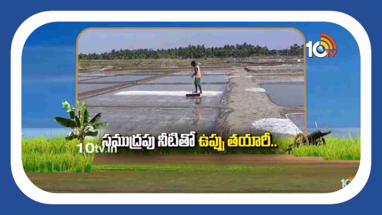 Making Salt : సముద్రపు నీటితో ఉప్పు తయారీ..