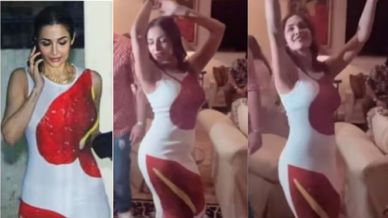 Malaika Arora : బాయ్ ఫ్రెండ్ బర్త్ డే పార్టీలో మెరిసేందుకు.. మలైకా ఎంత ఖర్చు చేసి డ్రెస్ కొన్నదో తెలిస్తే షాక్ అవుతారు!