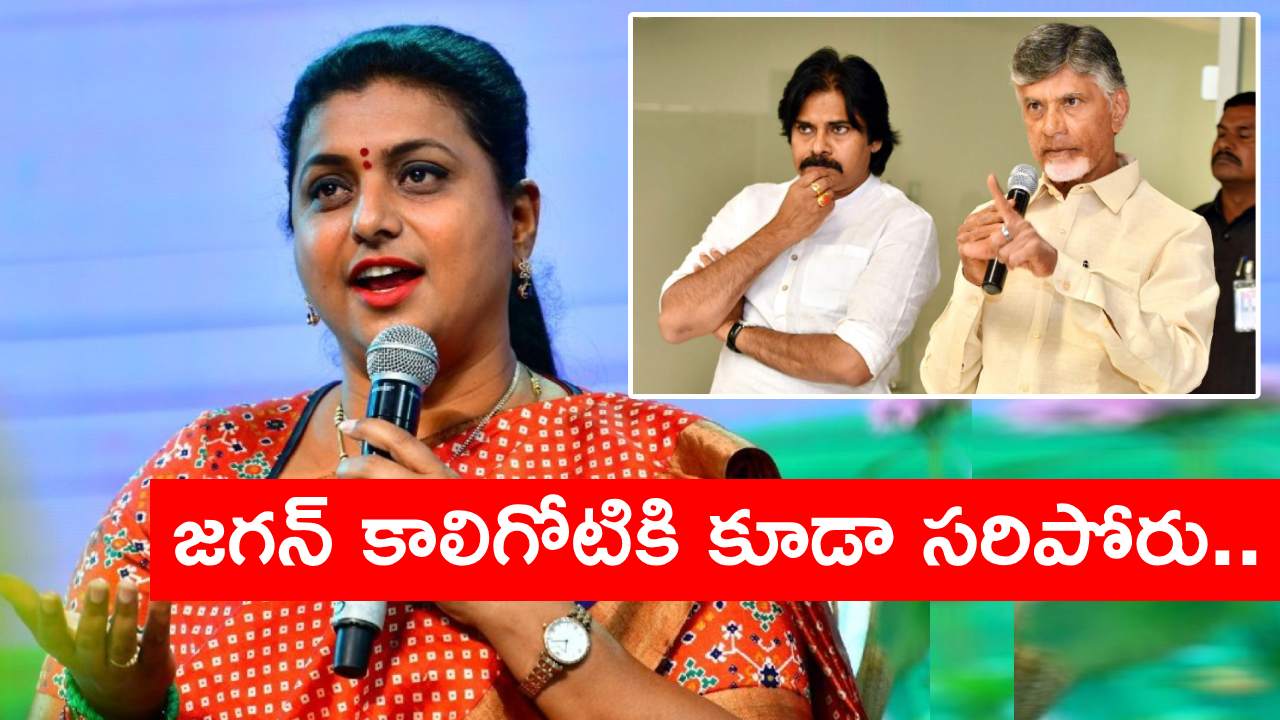 Minister Roja: చంద్రబాబు, పవన్ కళ్యాణ్‌పై ‘బాయ్ బాయ్ బీపీ’ అంటూ మంత్రి రోజా పంచ్‌లు..
