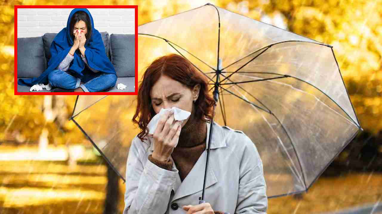 Monsoon Diseases : డెంగ్యూ నుండి చికున్‌గున్యా వరకు వర్షకాలంలో వచ్చే 5 సాధారణ వ్యాధులు, నివారణ చిట్కాలు !