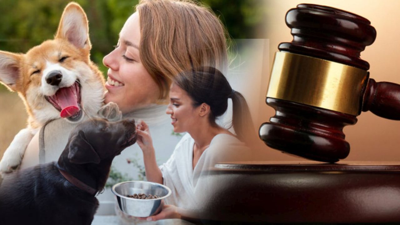 Mumbai Court : భార్యతో పాటు ఆమె కుక్కలకు కూడా భరణం ఇవ్వాల్సిందే : కోర్టు కీలక తీర్పు