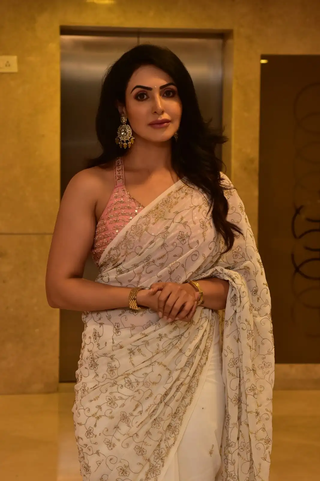 Nandini Rai Shines in Saree at Bhaag Saale Movie Pre Release Event