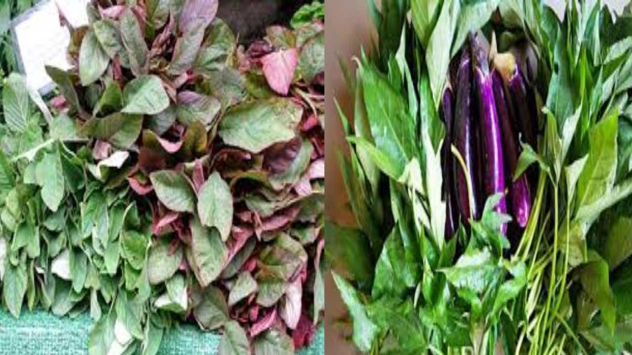 Leafy Vegetables : వర్షాకాలం ఆకు కూరలు తినడానికి సరైన సమయం కాదట
