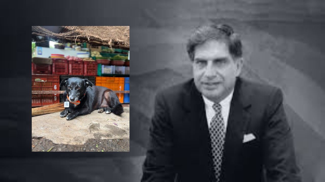 Ratan Tata : వర్షాకాలంలో కారు నడిపే ముందు రతన్ టాటా ఇచ్చే సూచన పాటించండి