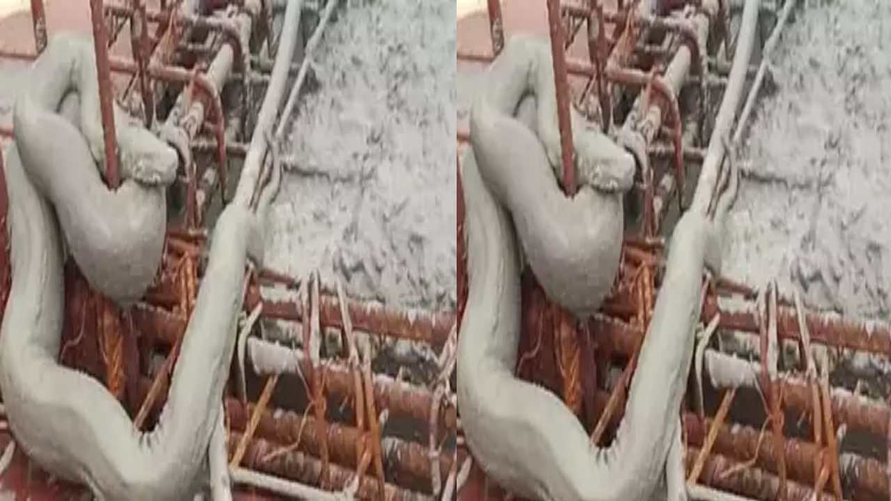 Mumbai : ఆ ఇంటి 13 వ అంతస్తులో ఇండియన్ రాక్ పైథాన్ ప్రత్యక్షం.. ఉలిక్కిపడ్డ ముంబయి వాసులు