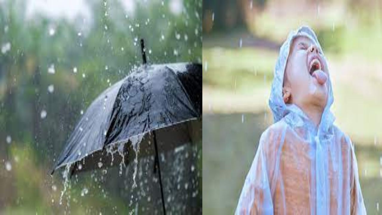 Rainwater : వర్షపు నీరు ఎందుకు తాగరో? మీకు తెలుసా..