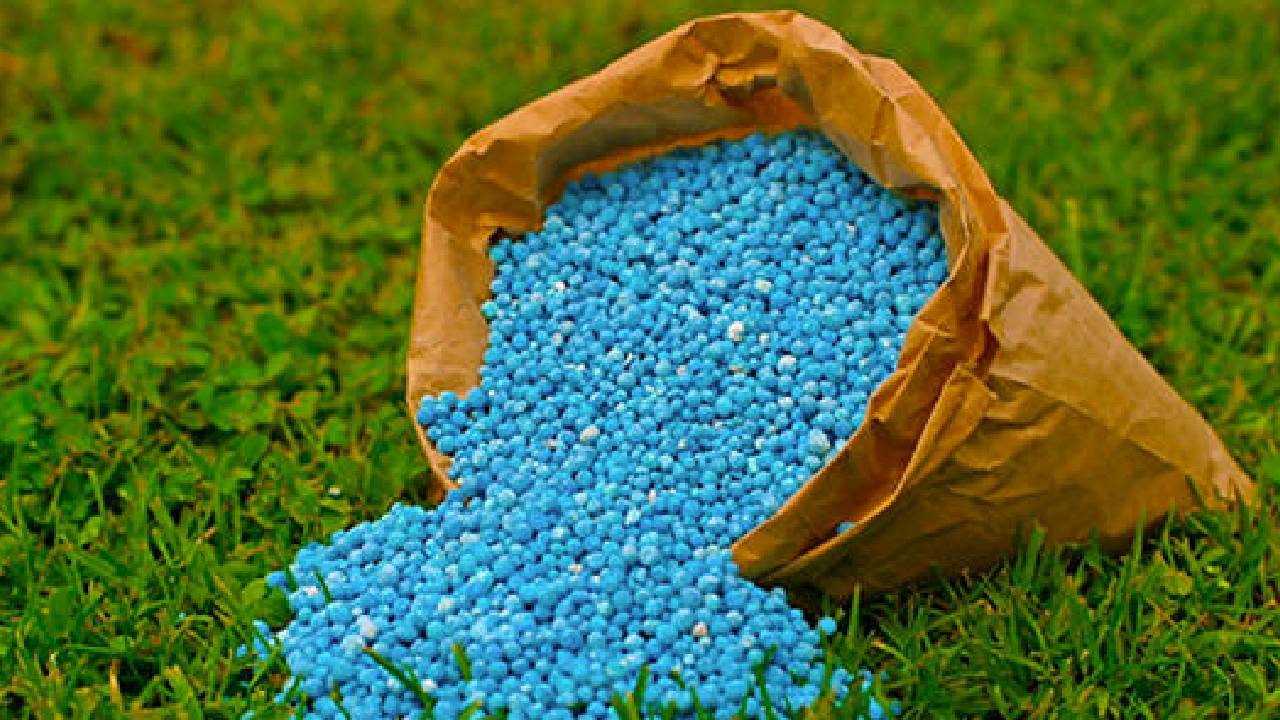 Pakistan: పాకిస్థాన్‌లో మరో సంక్షోభం.. ఇక తట్టుకునేదెలా?