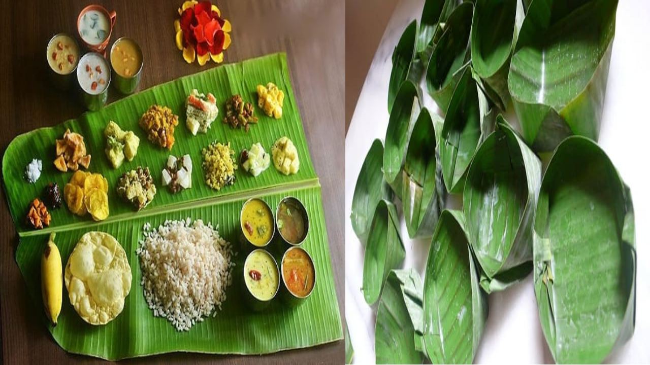 Banana Leaves : అరిటాకులో భోజనం ఎందుకు చేస్తారో తెలుసా?