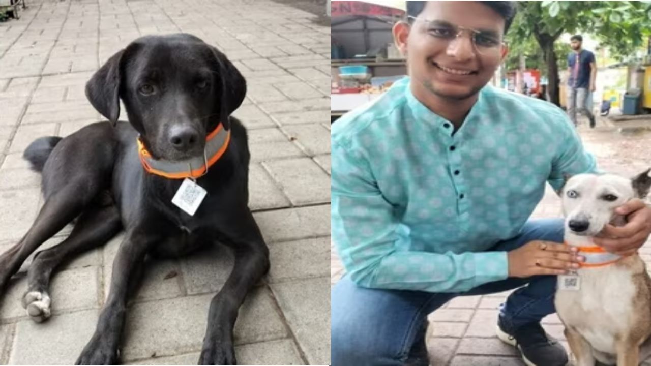 Mumbai : కుక్కల మెడలో QR కోడ్ .. తప్పిపోయిన డాగ్స్ ట్రాక్ చేయడానికి క్రియేట్ చేసిన ఇంజనీర్