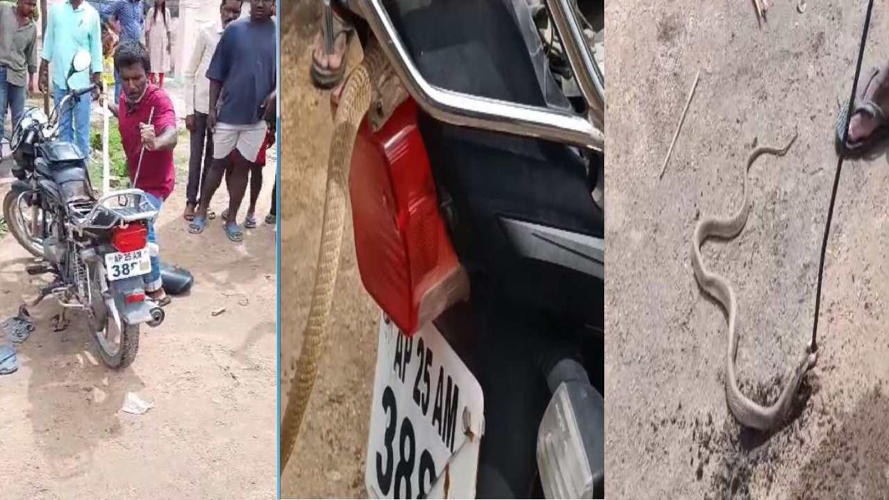 Nizamabad : బైక్ స్టార్టవ్వట్లేదని మెకానిక్‌కి చూపించాడు.. బయటకు వచ్చిన నాగుపాముని చూసి షాకయ్యాడు