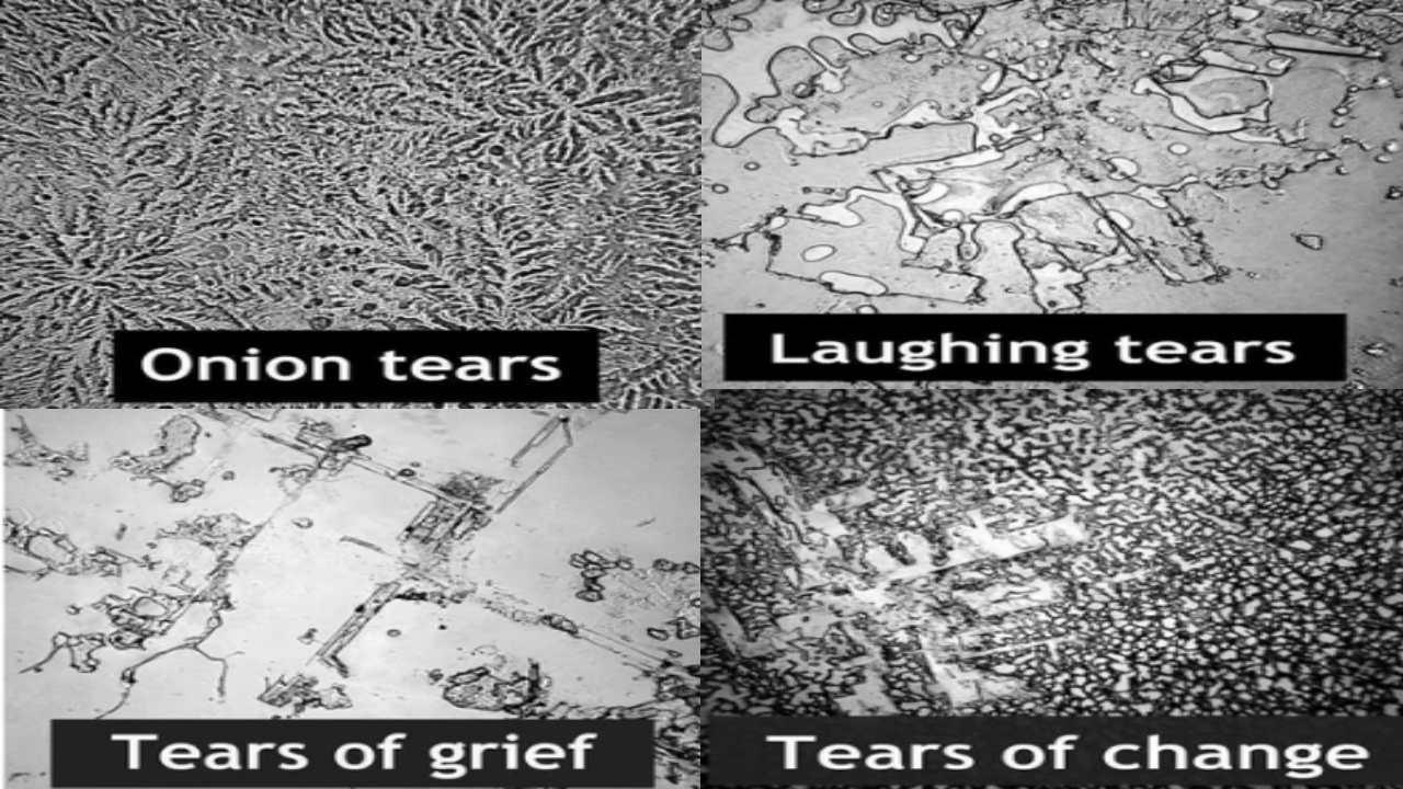 Different Types of Tears : కన్నీళ్లలో ఇన్ని రకాలున్నాయా?