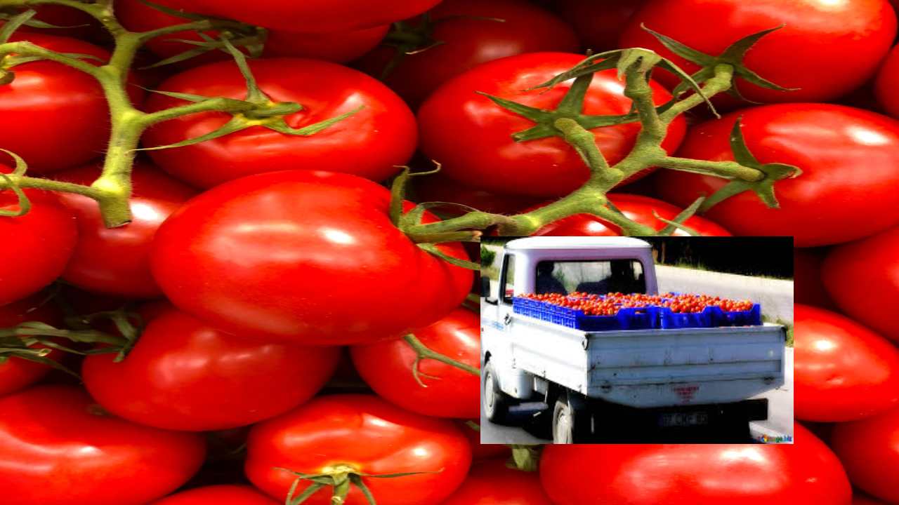 Bengaluru : 2.5 టన్నుల టమాటాలున్న లారీ హైజాక్.. రైతును నెట్టేసి లారీని దారి తప్పించిన ముఠా